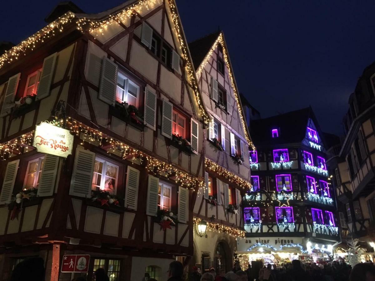 Beaux Lofts Pres D'Europa Park Et Strasbourg Villa Obenheim Eksteriør billede