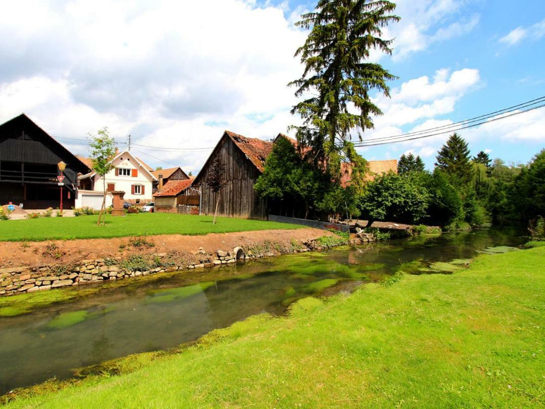 Beaux Lofts Pres D'Europa Park Et Strasbourg Villa Obenheim Eksteriør billede