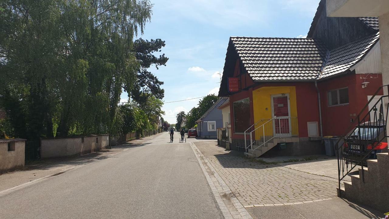 Beaux Lofts Pres D'Europa Park Et Strasbourg Villa Obenheim Eksteriør billede