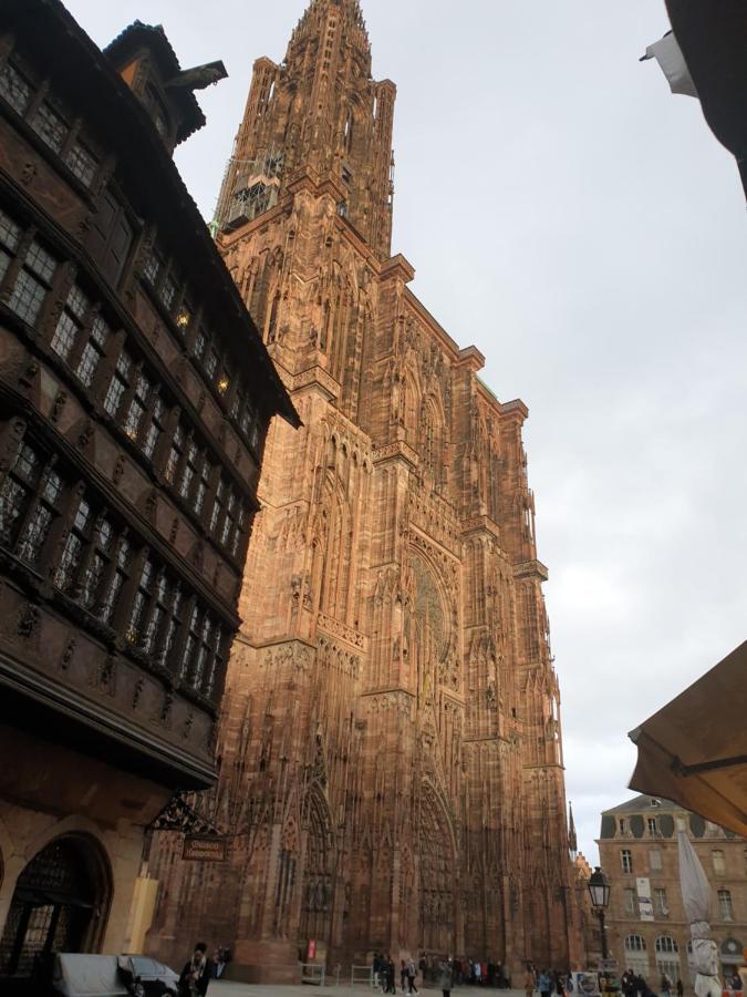 Beaux Lofts Pres D'Europa Park Et Strasbourg Villa Obenheim Eksteriør billede